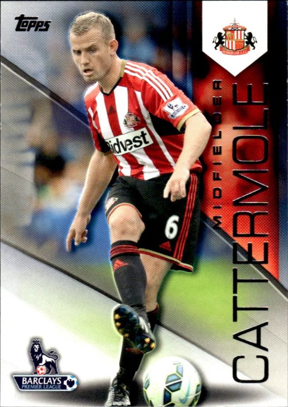 2014 Topps Premier Gold Lee Cattermole #119